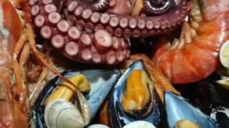 WhatsApp Video 2021-05-24 at 18.14.56